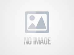 GE Fanuc IC200MDL750D VersaMax Discrete Input Modules