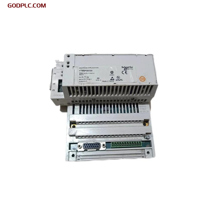 Schneider 170ISP00100 Momentum Weighing Module Quality Assurance