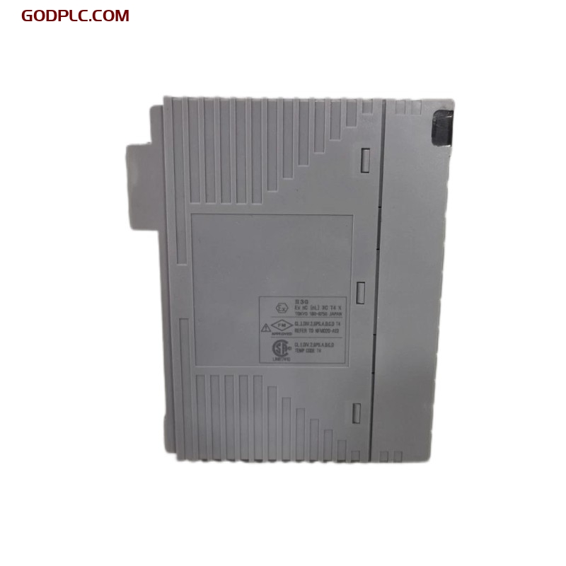 Yokogawa AAI543 Analog output modules