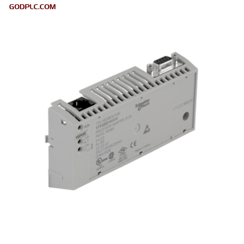 Schneider 171CCC96030 M1/M1E Processor Adapter