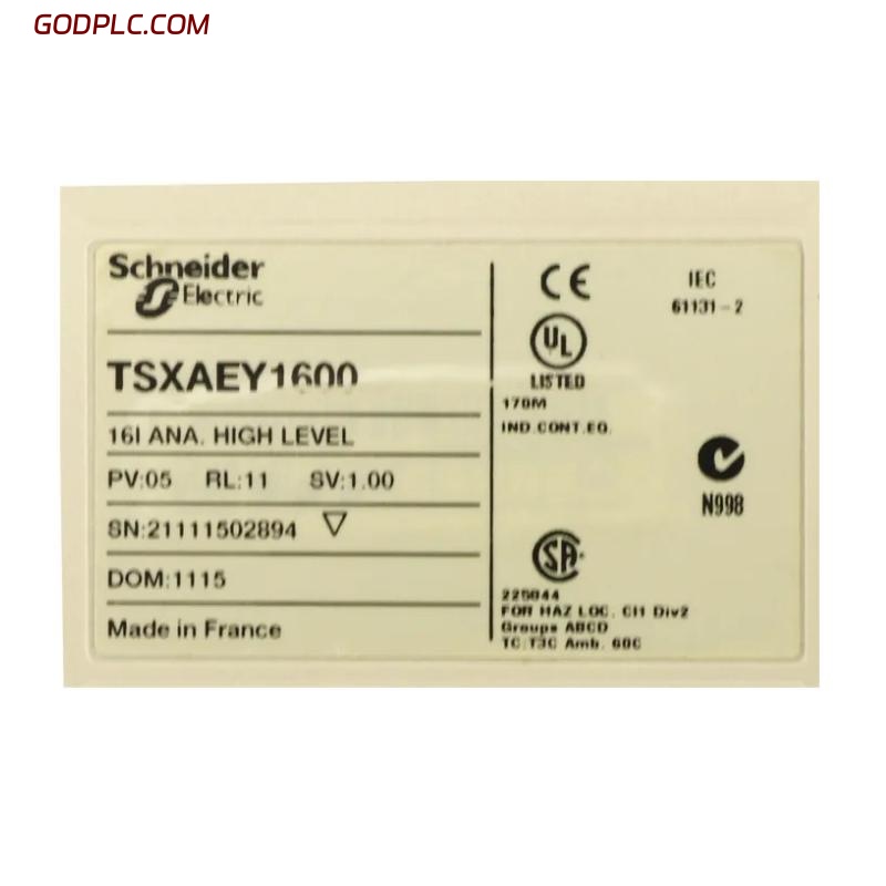 Schneider TSXAEY1600 Analog Input Modules