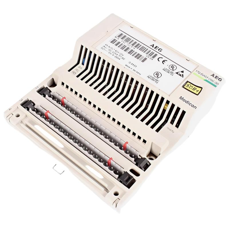 Schneider 170BAM09600 Analog I/O Module