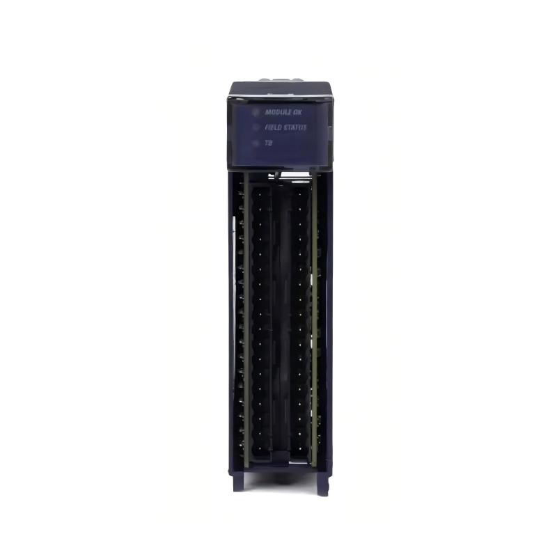 GE Fanuc   IC695ALG626   Analog Input Module