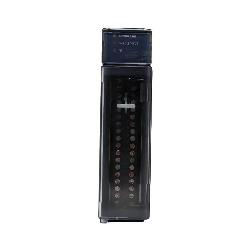 GE Fanuc   IC695ALG808   Isolated Analog Output Module