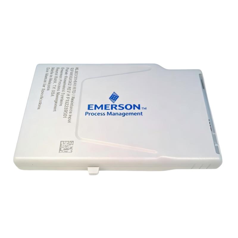 Emerson KL3031X1-BA1 RTD / Resistance Input CHARM