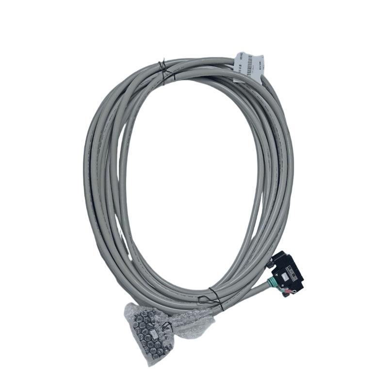Yokogawa KS1-10 Signal Cable
