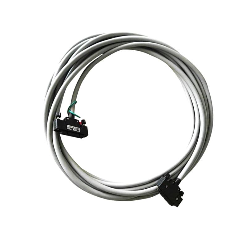 Yokogawa KS1-10*B Signal Cable