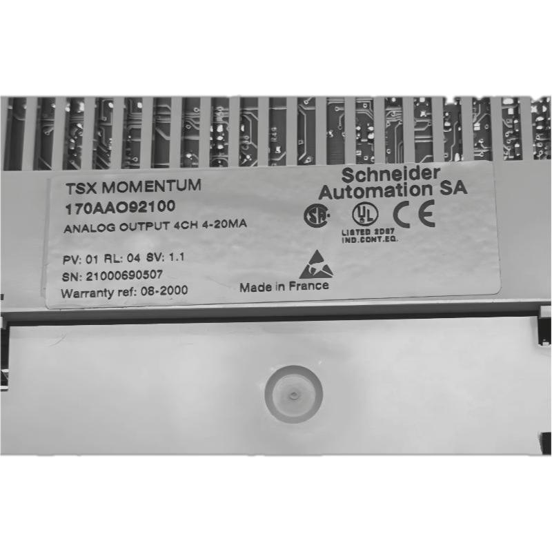Schneider 170AAO92100 Analog Output Base