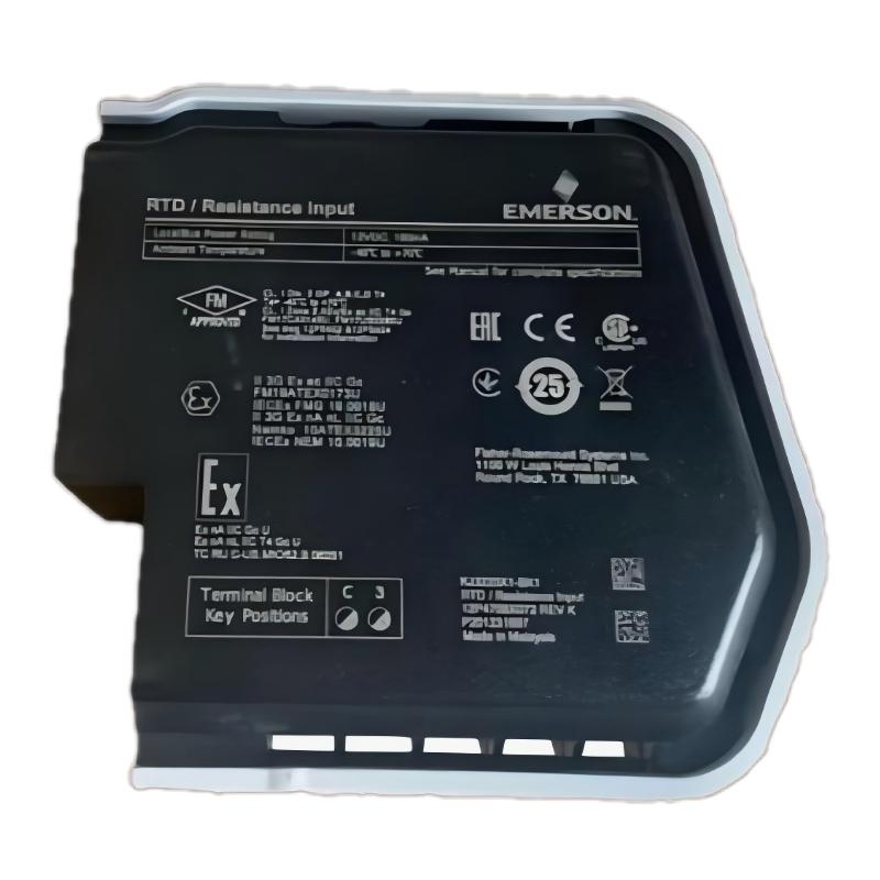 Emerson SE4003S6B1 Analog Input Card
