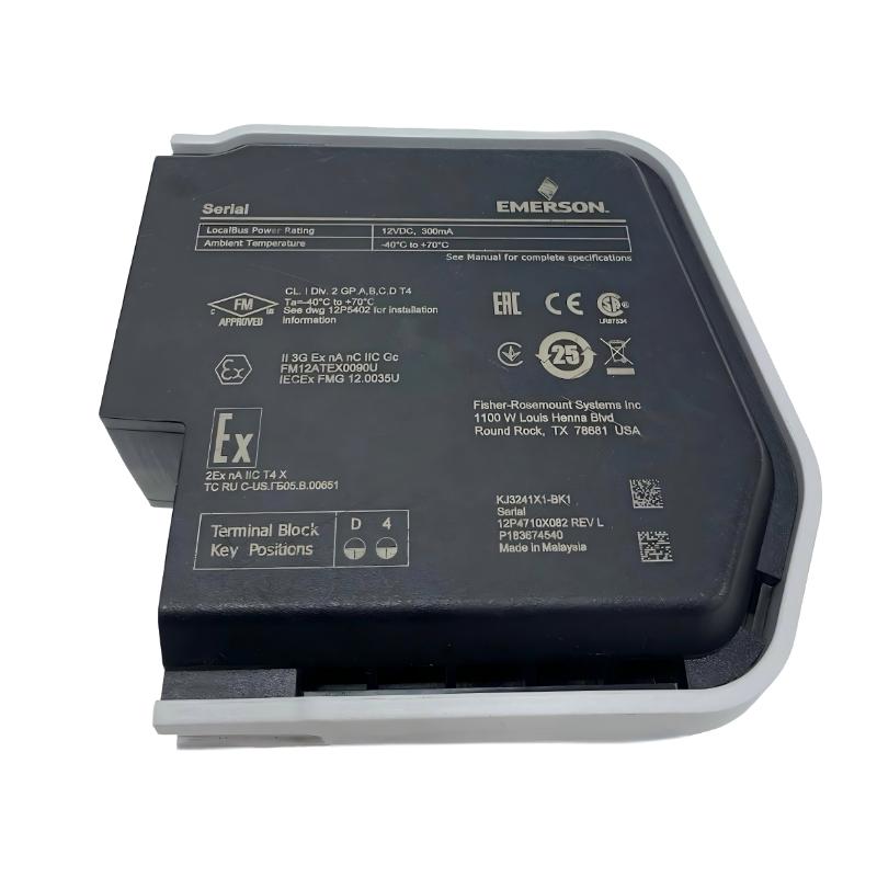 Emerson SE4005S2B5 Analog Output Card