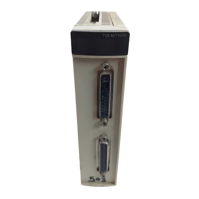 Schneider TSXAEY1600R Analog Input Module