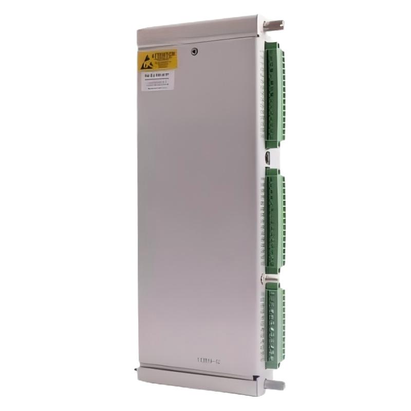 Bently Nevada 3500/61-01-00 133819-02 3500/61 RTD/TC Non-Isolated I/O Module Internal Terminals