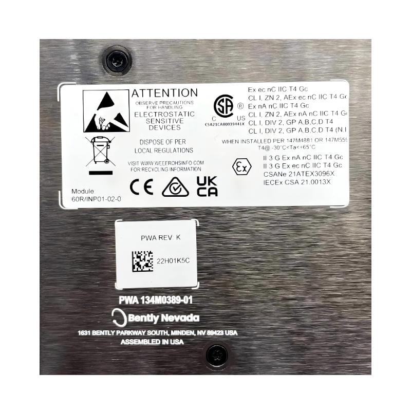 Bently Nevada 60R/INP01 Dynamic Input Module