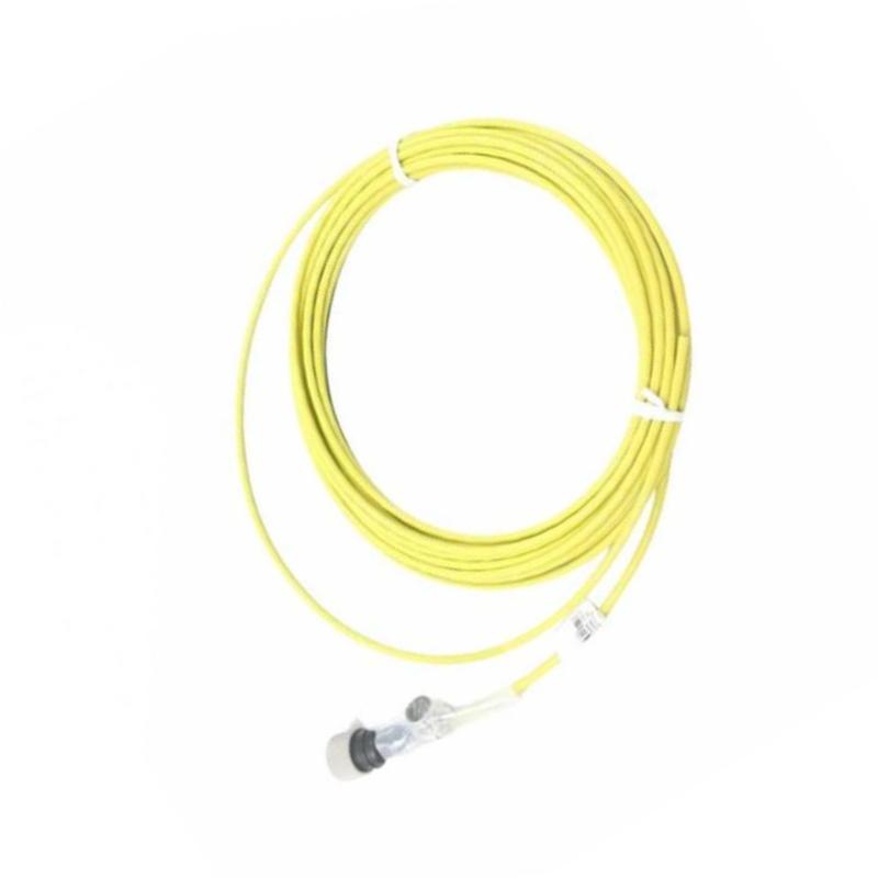 Bently Nevada CB2W100-32 Interconnect Cable