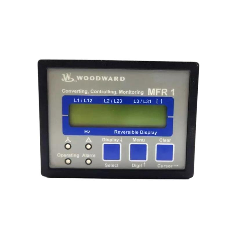 Woodward LR20025 Industrial Relay