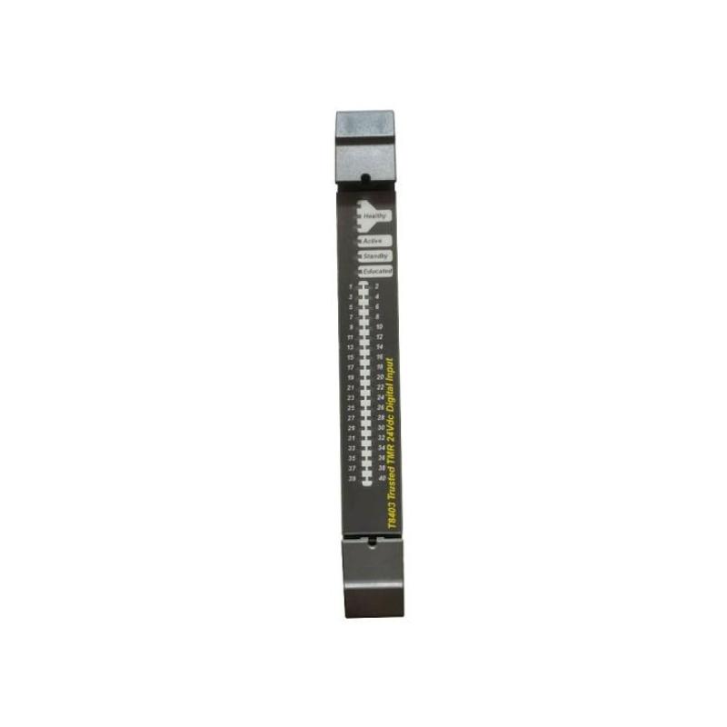 ICS Triplex T8403C Digital Input Module