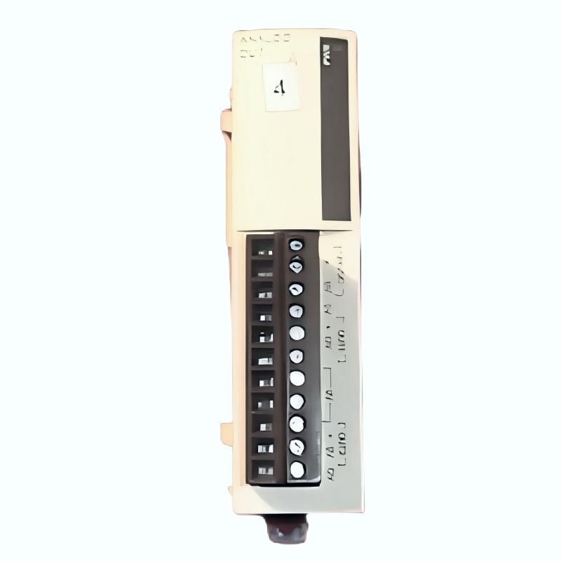 Schneider TWDAVO2HT Analog Output Module