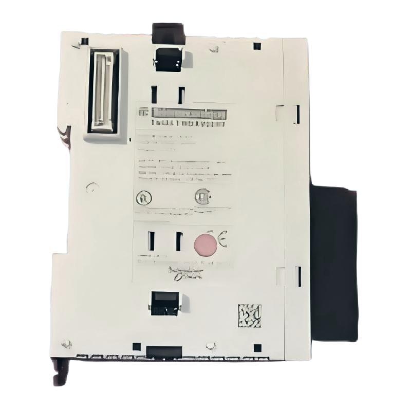 Schneider TWDAVO2HT Analog Output Module