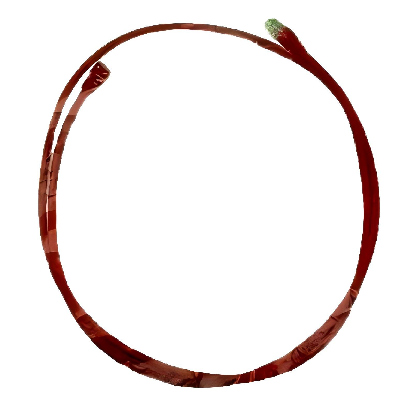 Schneider VW3E5001R020 SERCOS III Cable