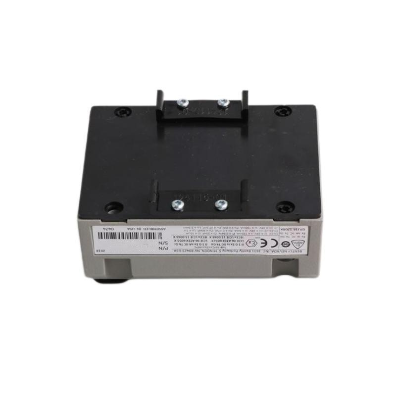 Bently Nevada 990-04-XX-01-05 165335-01 Vibration Transmitter
