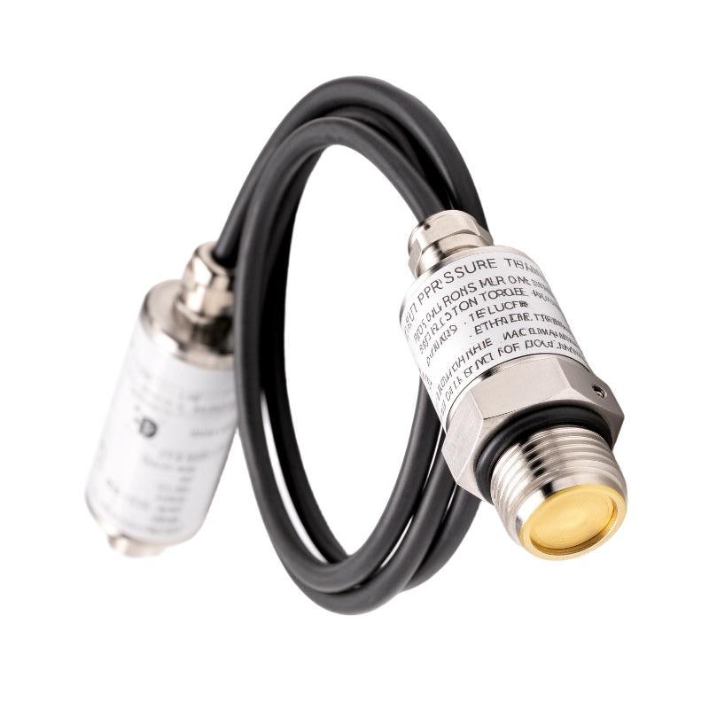 Bently Nevada 165855-16-CN Cylinder Pressure Sensor