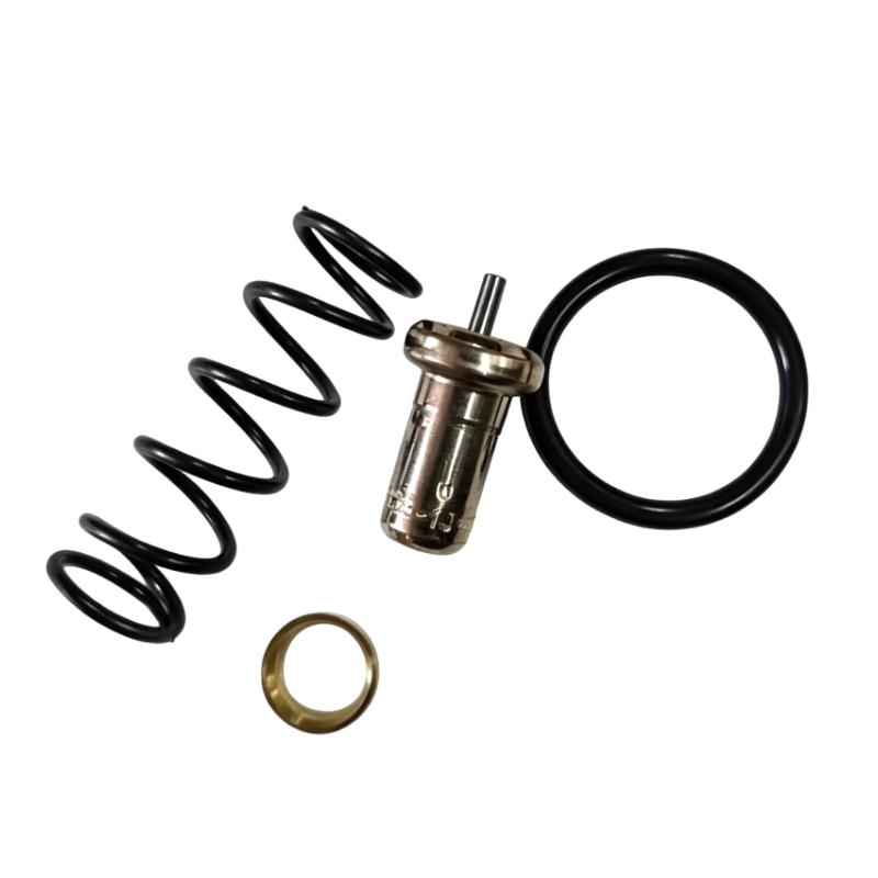 Ingersoll Rand 47588445001 24509184 Temperature Control Valve Repair Kit